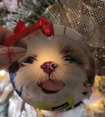 Custom Ornament